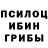Галлюциногенные грибы мицелий lale sediyeva